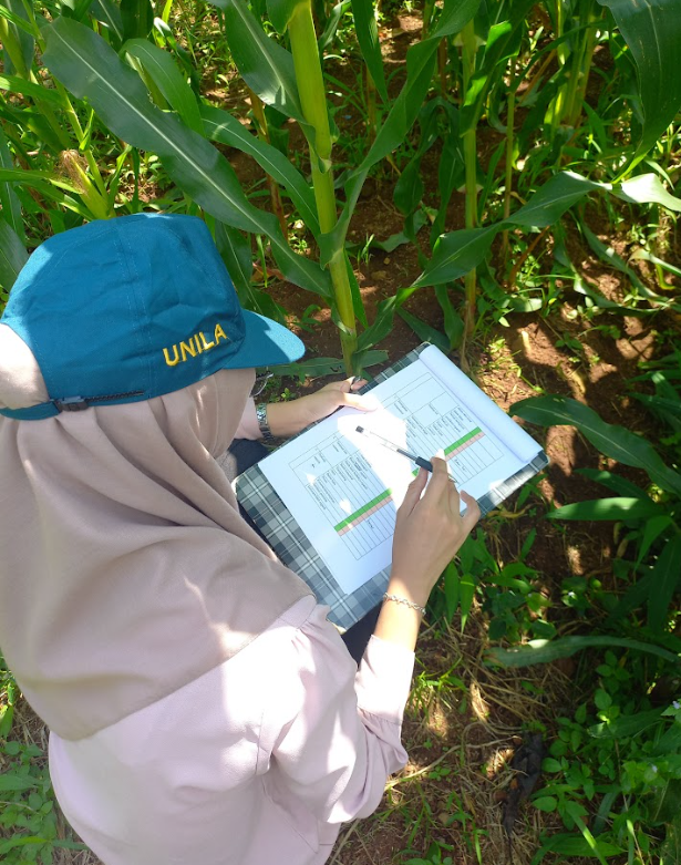 Uji Kompetensi Casava Praktek Lapangan